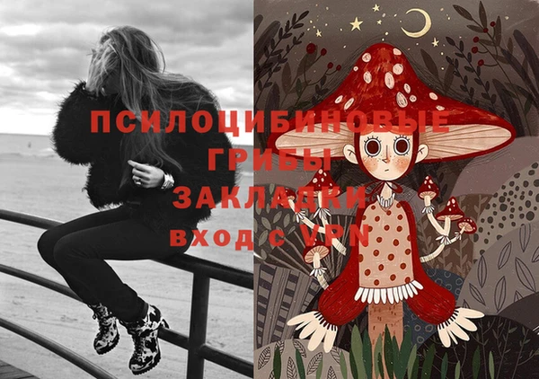 прущая мука Арсеньев