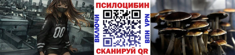 Псилоцибиновые грибы Magic Shrooms  Купить  Демидов 